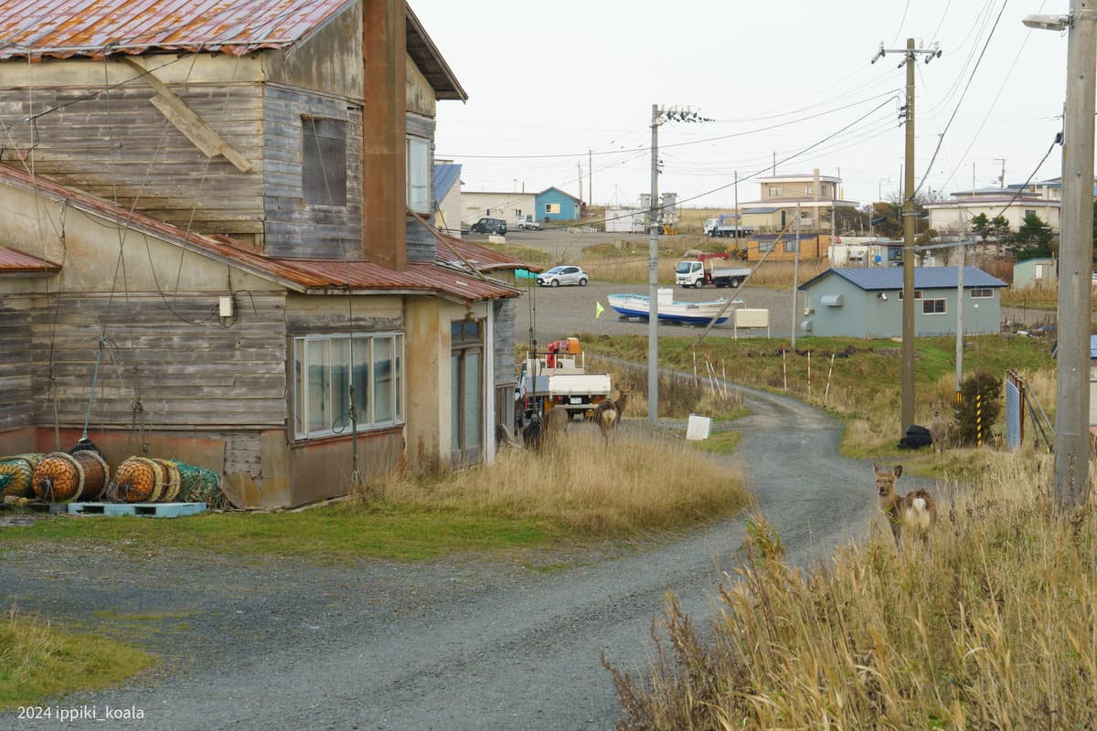 【北海道】野付半島と根室 落石地区