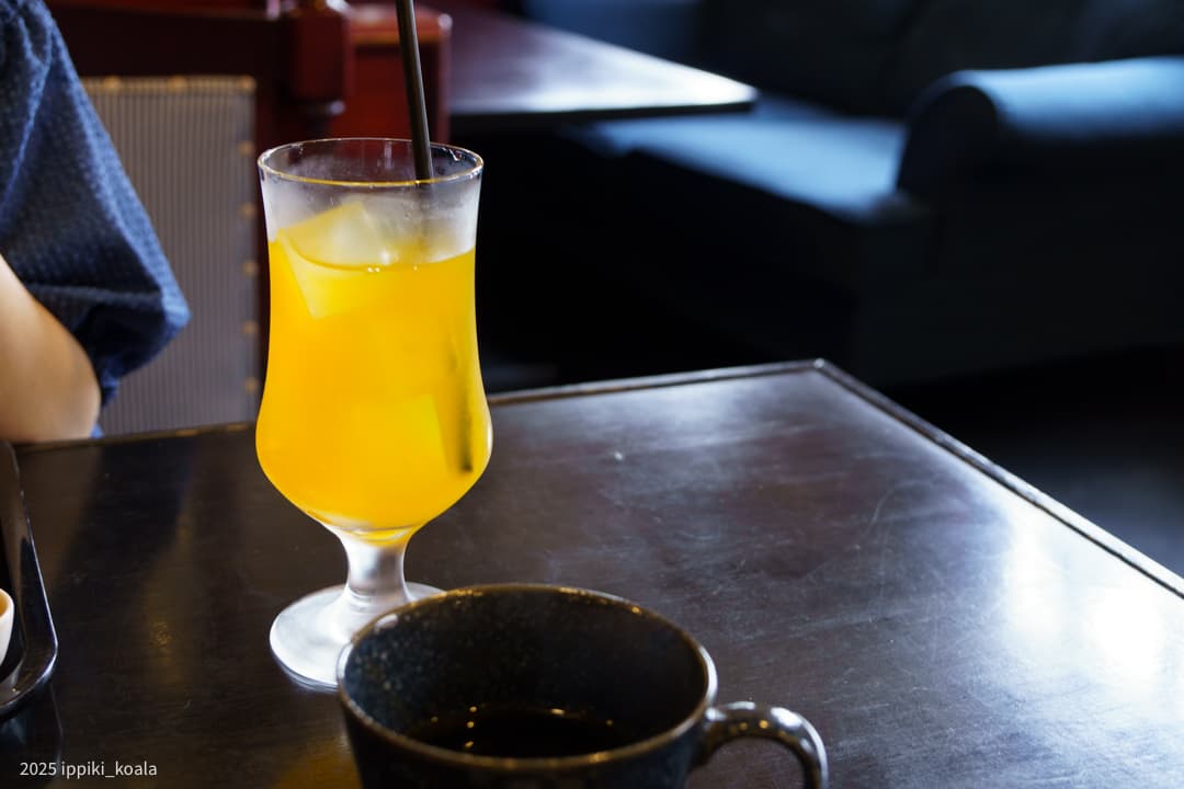 【宮崎県】堀川運河による飫肥杉の出荷と、東洋一の鮪の基地として栄えた 油津