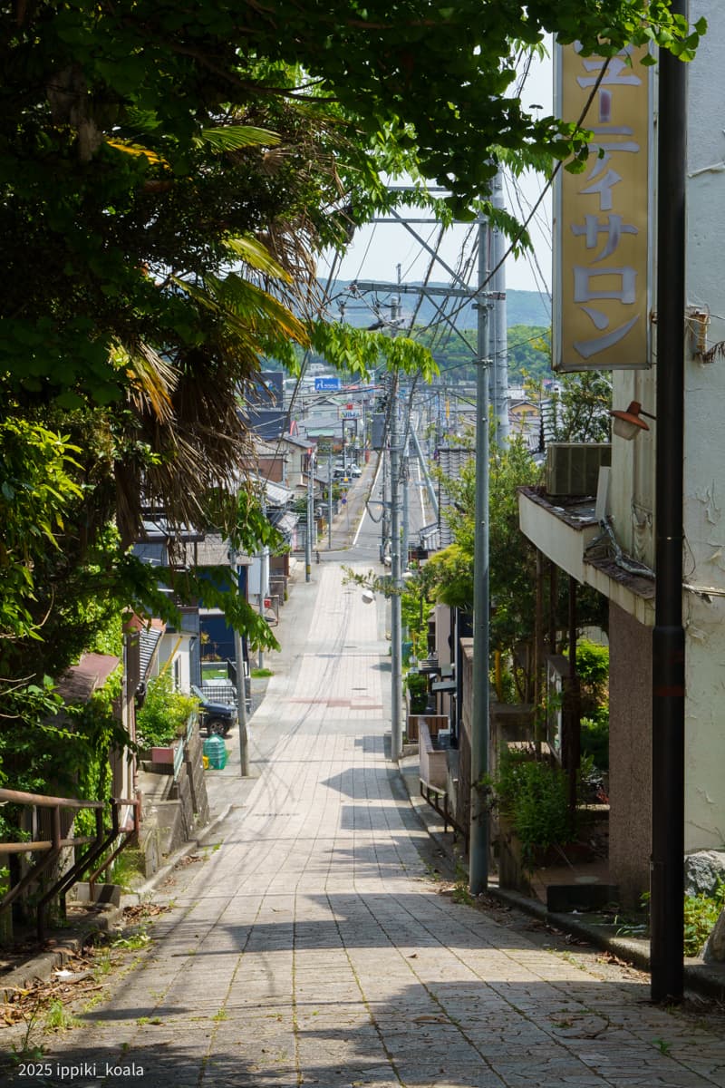 【茨城県】常陸太田の中心街・鯨ヶ丘
