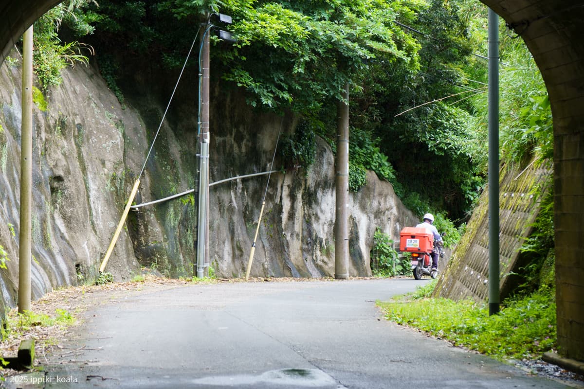 【千葉県】新緑の御宿と小浦海岸。飯縄神社（1/2）