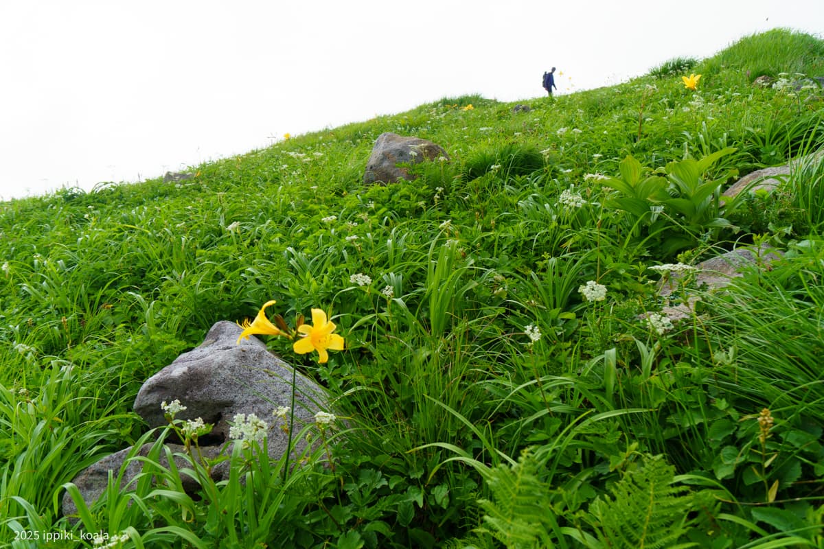 【山形】路線バスを駆使して月山を登ってきた（道の駅にしかわ〜姥沢〜月山頂上小屋〜月山八合目〜鶴岡駅）Part1