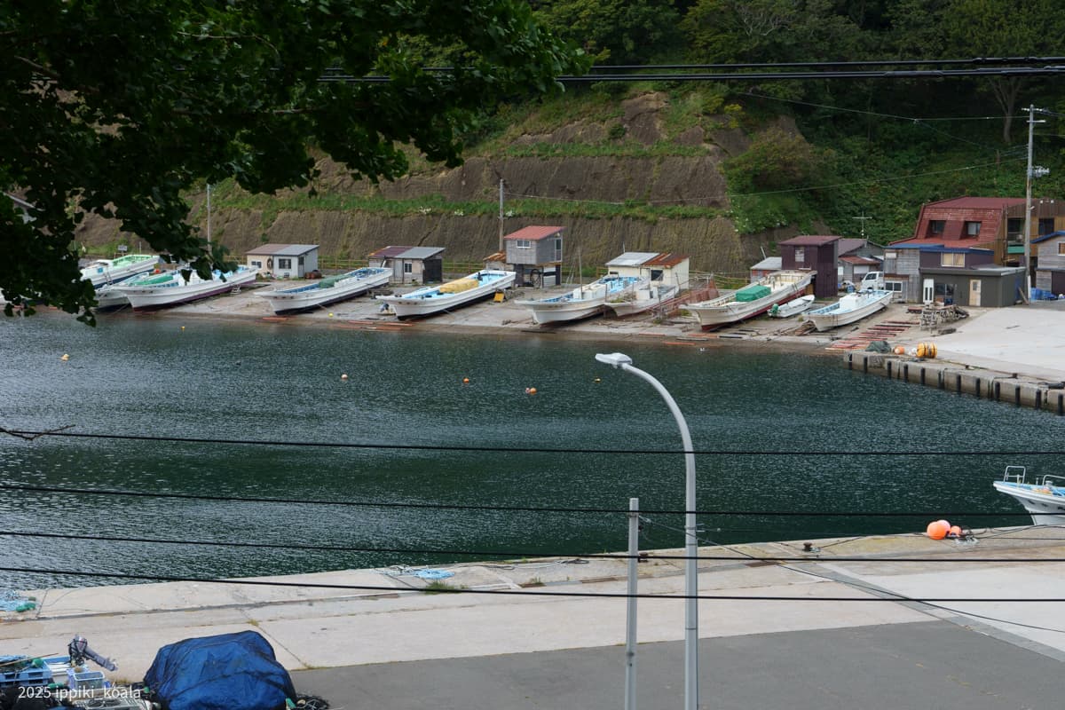 【青森県】下北半島の漁村を巡る1（九艘泊漁港〜脇野沢新井田）