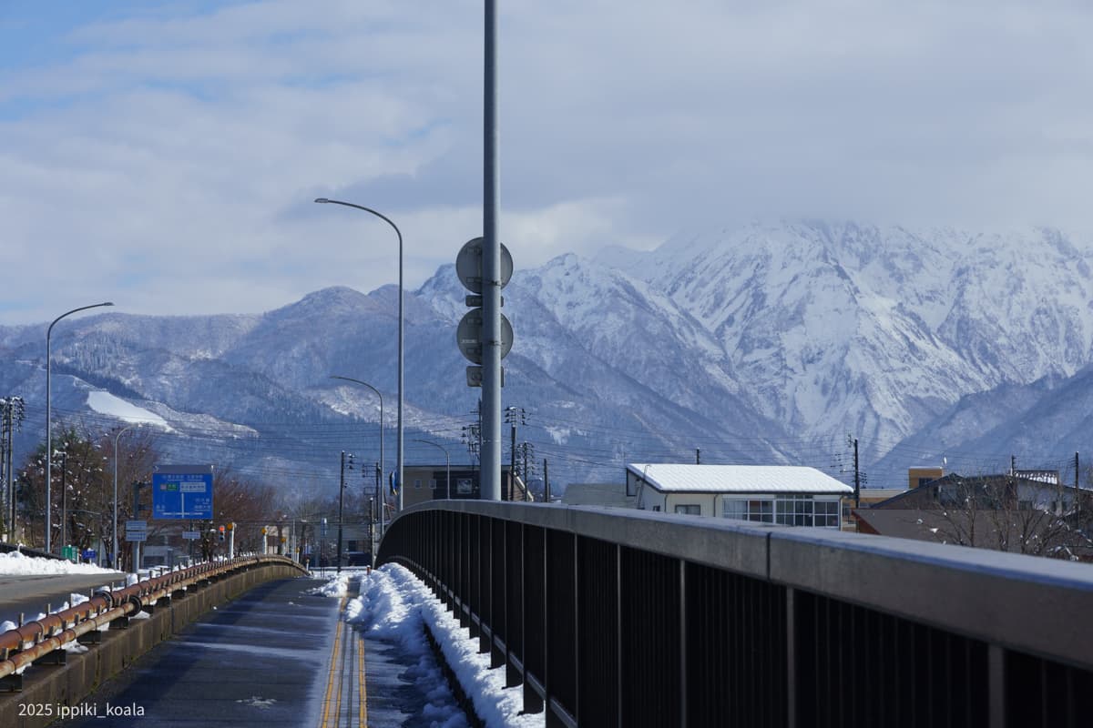 【新潟県】浦佐駅周辺を歩きました（上越新幹線 利用者最小 何も無い）