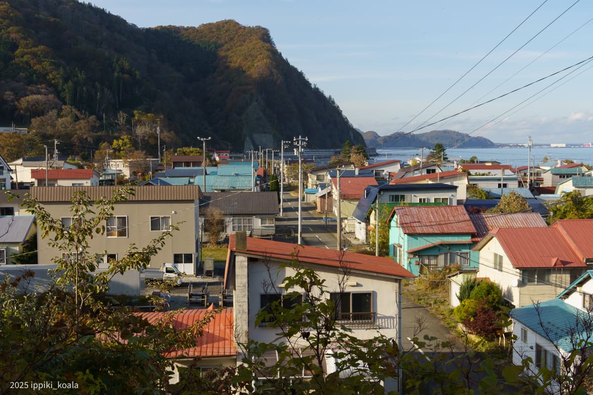 【北海道】2025年個人的ベスト街賞 音調津（2025/10 北海道旅行 Part 2）