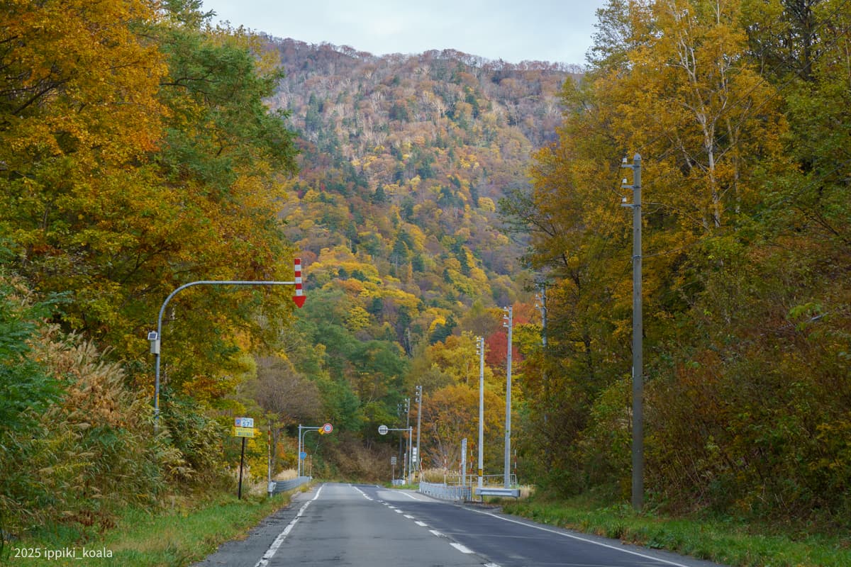 【北海道】濃昼漁港とかつて陸の孤島と呼ばれた雄冬へ（2025/10 北海道旅行 Part 3）